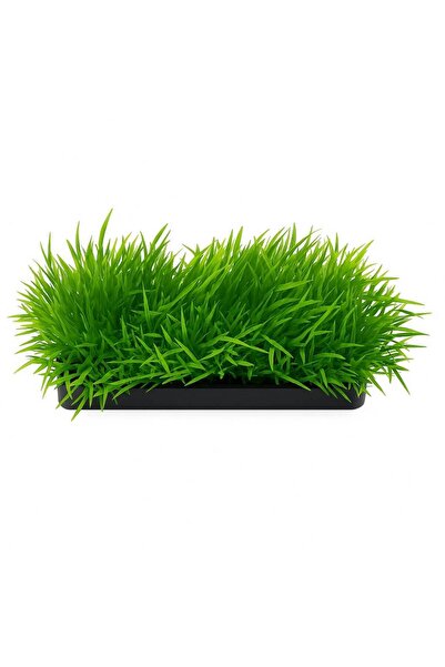 Ocean Free Gazon de acvariu planta decorativa artificiala 12 X 4 cm