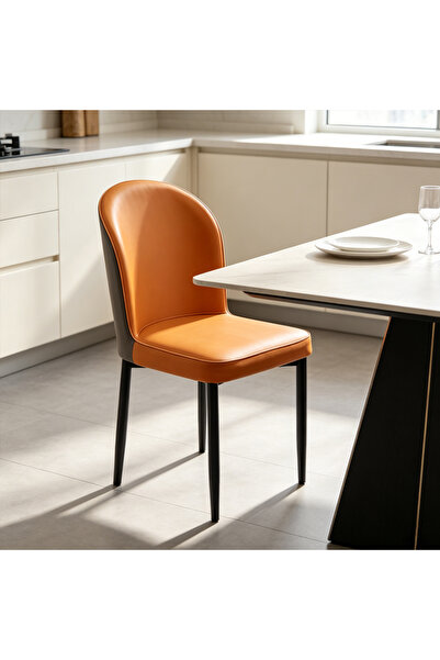 HayaBazaar Modern Dining Chair,High Back with Soft Seat,for Kitchen, Dining R...