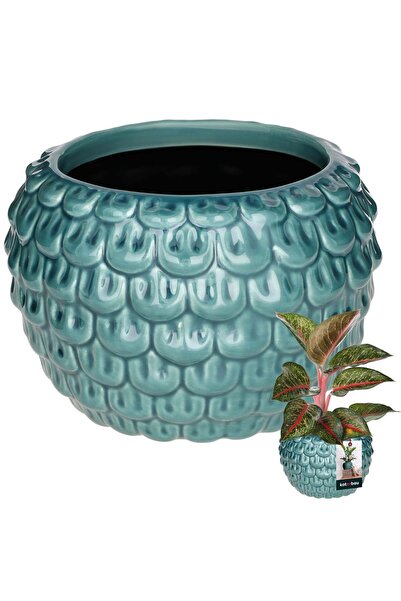 KOTARBAU Ghiveci artistic de flori 17 cm, turcoaz, ceramică vintage cu aspect...