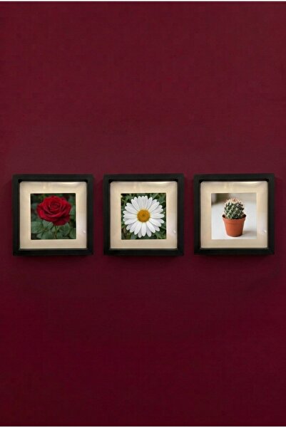 Hometaş Ev Ürünleri 3 ADET 14X14 SÖK TAK FOTOĞRAF ÇERÇEVESİ