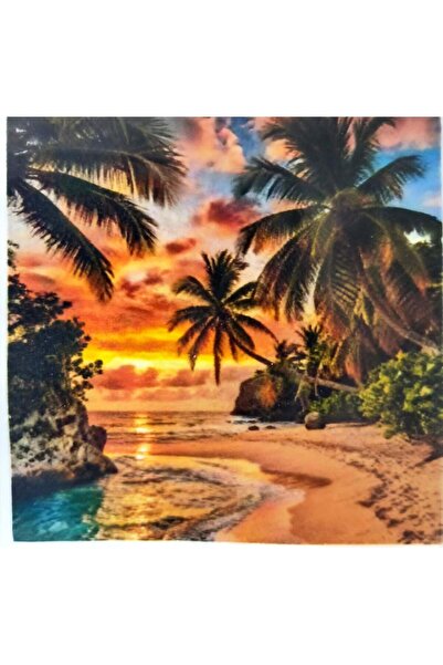 LİVA CRAFT Art & Craft Diamond Mosaic Painting, 30X30Cm Palm Coast Bead Gluin...