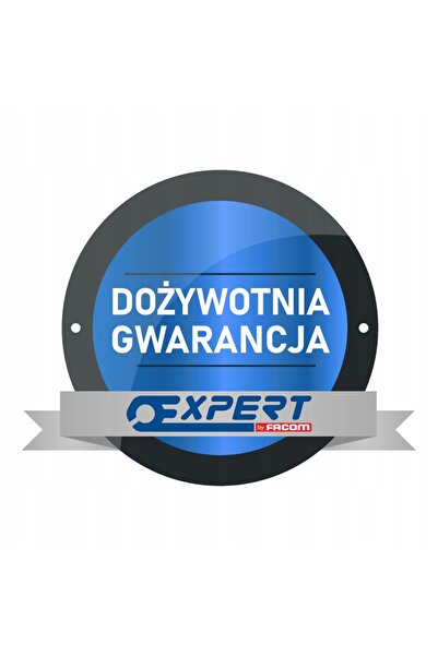 Facom Șurubelniță cu clichet EXPERT cu capete plate Ph Pz E160801