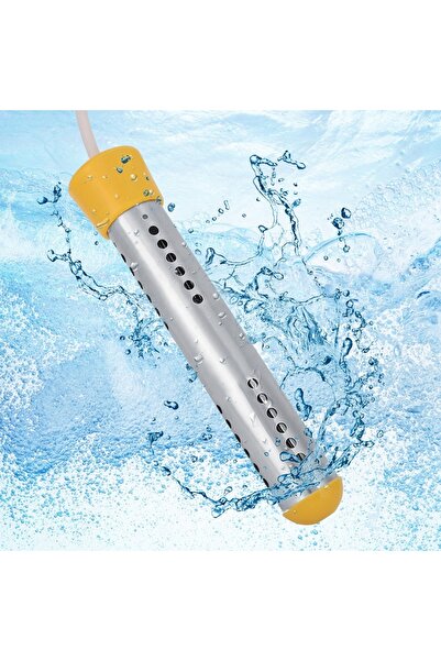 NO BRAND Încălzitor de apă submersibil 2500W 220V pentru piscină 1.5M