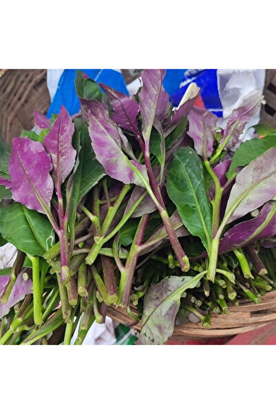 123 742Pcs of Bicolor Seeds, for Garden Planting and Salad Consumption