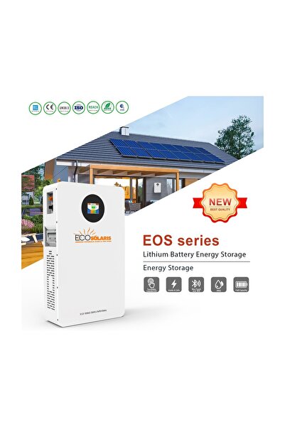 Ecosolaris Acumulator LiFePO4 51.2V 100Ah 5kWh