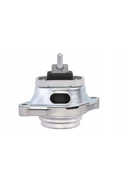 REINHOCH Suport motor RH11-5097