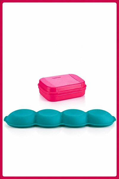Tupperware Pembe Saklama Kabı ve Yeşil 4'lü Çerezlik Sunum Seti