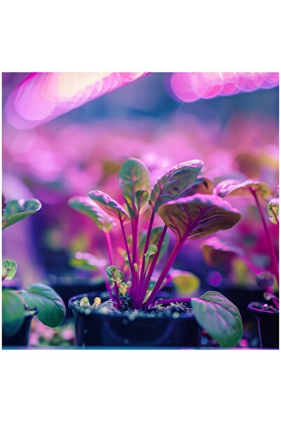 NO BRAND Bec LED pentru plante KOBI Design Planty 9W E27