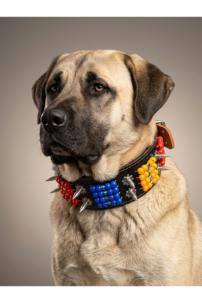 YILPAX Hakiki Deri Çivili Nazar Boncuklu Büyük Irk Köpek Tasması Kurtçul Çivili Tasma 80x8 cm