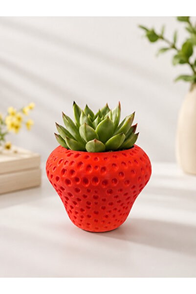 3D Baskı Çilek Sukulent Saksısı – PLA Biyoplastik Dekoratif Mini Saksı (8,5-9 cm)