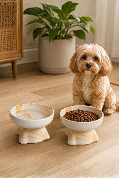 Pawicci 2-Li 12° Eğimli Seramik Marble Brown Kedi Kopek Mama ve Su Kabı Yükseltilmiş Boyun Rahatligi Omurga Destekleyici Set