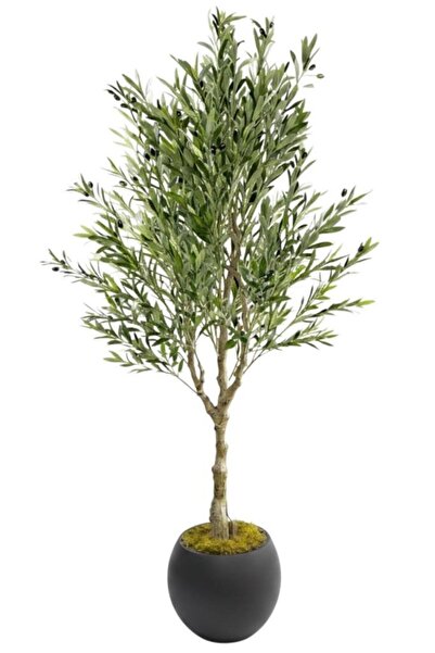Nettenevime Yapay Zeytin Ağacı Doğal Kök Detaylı Büyük Dolgun Model Antrasit ...