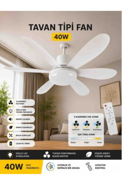 Tavan Tipi Fan