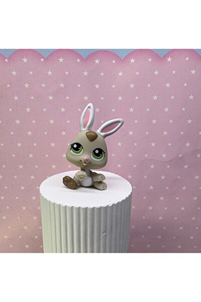 Figür Dünyası Miniş Oyuncaklar Miniş oyuncaklar figür dünyası Lps Littlest pe...