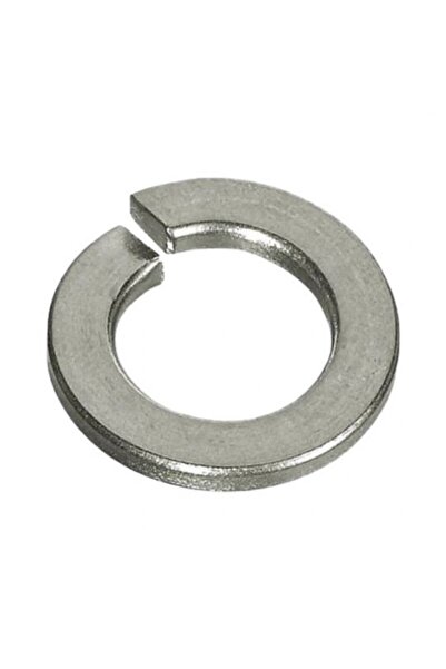 SCHAEFER Set 300 x Saiba Grower Forma B 127 Inox A2-6
