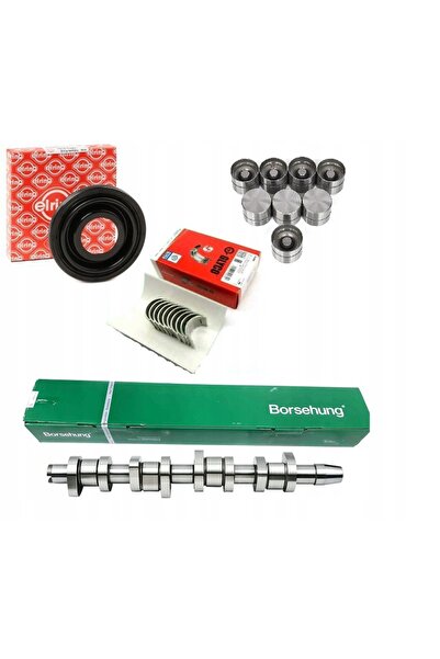 BORSEHUNG Germany B17861 ARBORE CU CAME VW 1.9TDI