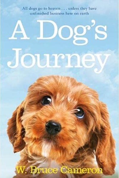 Jarir Bookstore A Dog's Journey