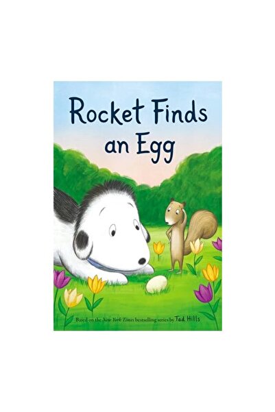 Random House Children's Books Rocket Finds an Egg