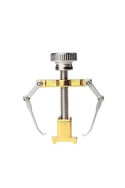 Choice Golden Ingrown Toenail Corrector Nail Straighten Clip Ingrown Toenail ...