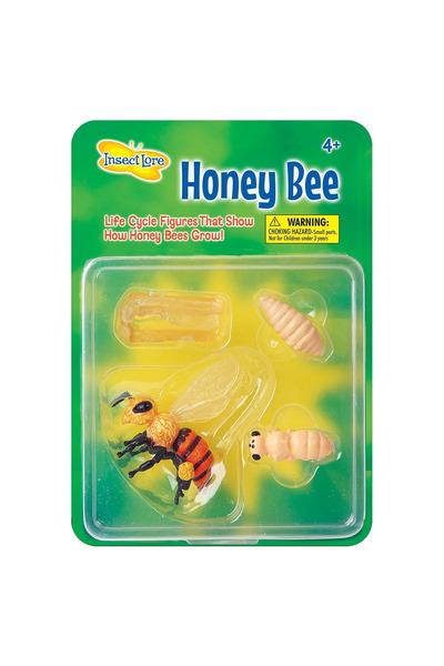 Insect Lore Ciclul de viață al albinelor. Set de figurine.