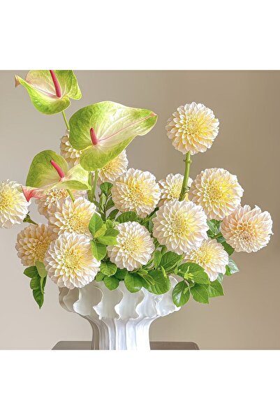 Bloom & Sow Seed Pastel Round Dahlia with Green Heart Anthurium, Elegant Flor...