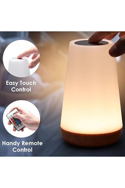 STARSTAR USB Rechargeable Night Light with Remote Control, Warm White and 13 ...