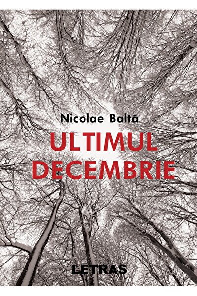 Letras Ultimul decembrie- Nicolae Balta