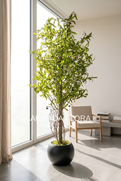 Armada Flora 150 cm Yapay Zeytin Ağacı - 27x33 cm Küre Saksılı