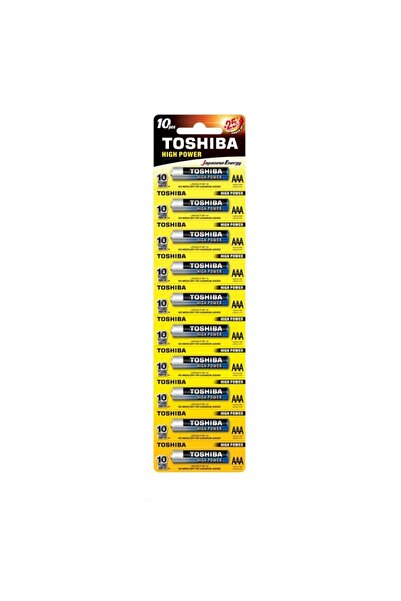Generic Brand Battery & Charger