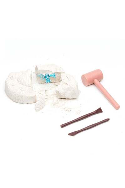 BAMI NETWORK Set excavare fosile animale marine pentru copii 3+ ani