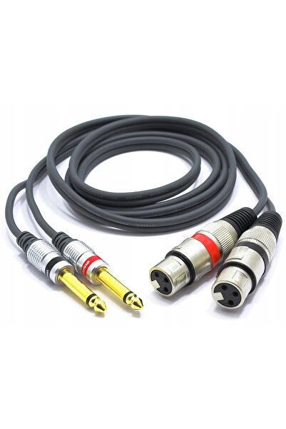 NO BRAND Cablu 2x XLR MASCUL - 2x JACK 6,3 MONO 3m VITALCO