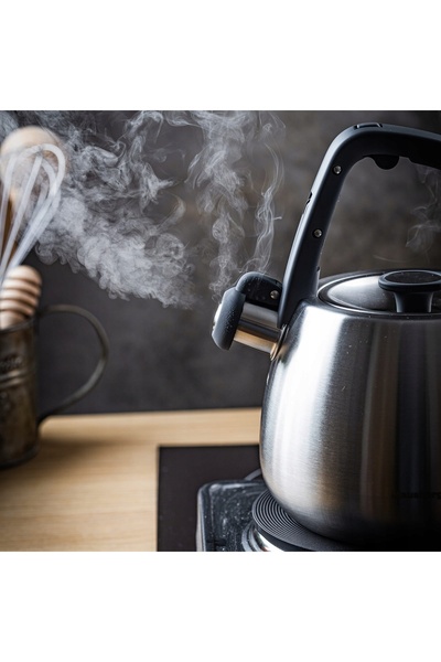 Klausberg Fierbător tradițional cu fluier 2,5L Inducție Gaz inox