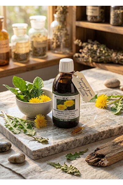 Karahindiba Sıvı Ekstraktı Takviye Edici Gıda 250 ml