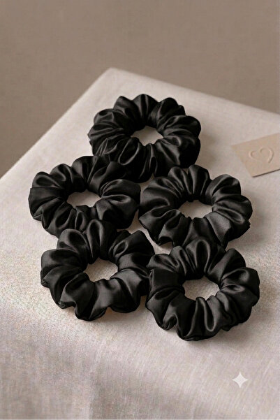 KL HOME Anti-Frizz Silky Satin 5-Piece Scrunchies Price for 5 Pieces