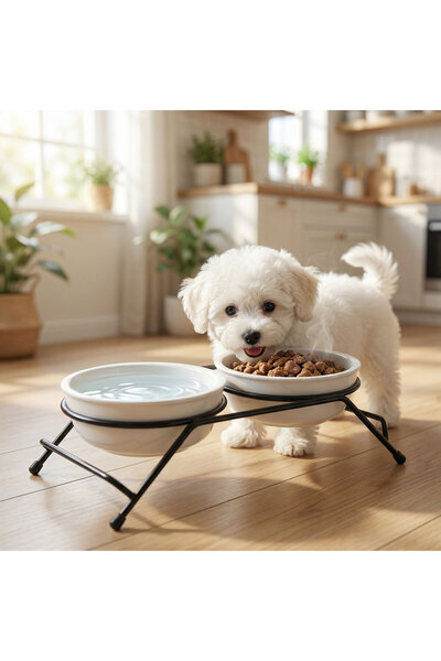 Alista Home Elevated stand with 2 ceramic bowls for dogs and cats, white/blac...