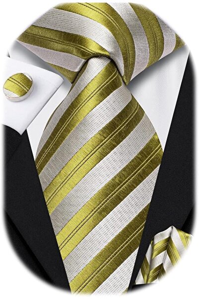 Dubulle Mens Paisely Silk Tie for Men Necktie and Pocket Square Set