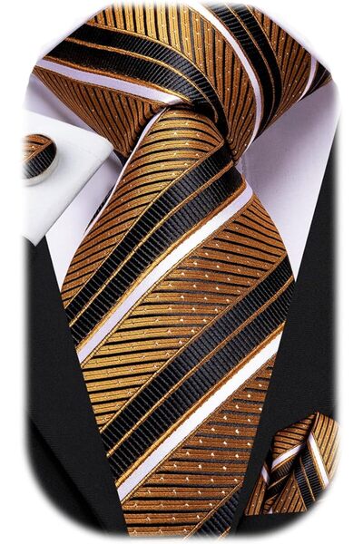 Dubulle Mens Paisely Silk Tie for Men Necktie and Pocket Square Set