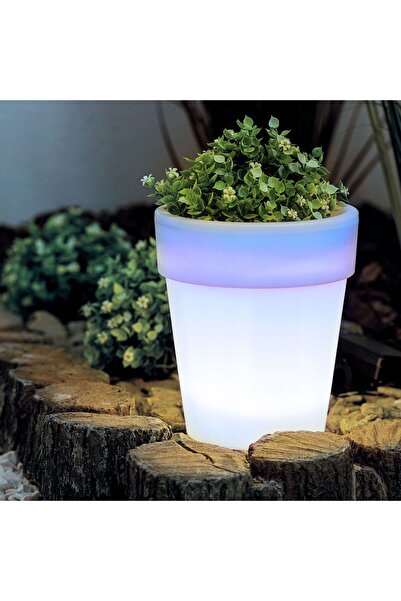 Alista Home Ghiveci solar cu LED-uri, cu 4 lumini albe reci, iluminat decorat...