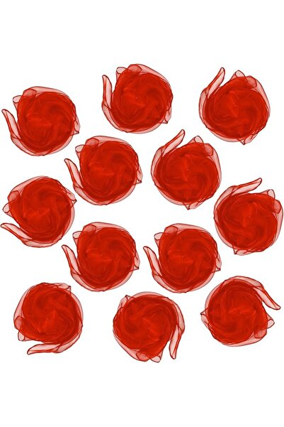 GENERAL Lolakee Dance Scarves 12 Pcs Juggling Scarves for Kids Play Silk Scar...