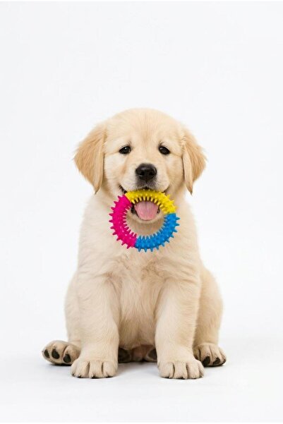 jetfast 10 cm Dog Biting Hoop Teeth Scratching Toy Cleaning Brush Silicone Do...