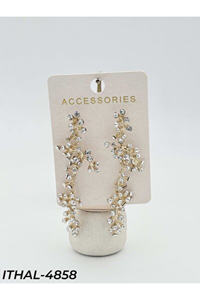 Bozhi Vip Z*Ra Earrings Vip Colorful Earrings Minimal Elegance Gift