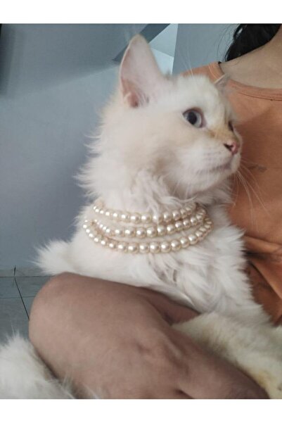Kedi ve Küçük Köpekler için Zarif İnci Kolye