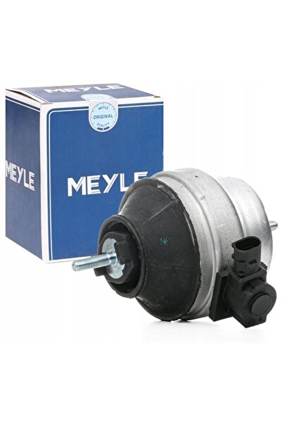 NO BRAND MEYLE 100 199 0134 Amortizor de motor