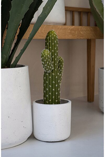 NO BRAND Cactus Saguaro artificial realist, 41 cm, cu aspect natural, cactuși...