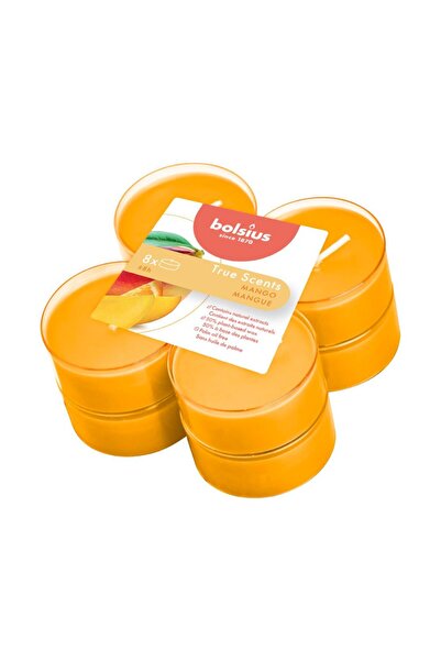 Bolsius Set 3 x 8 Lumanari Pastila 8h, - Mango