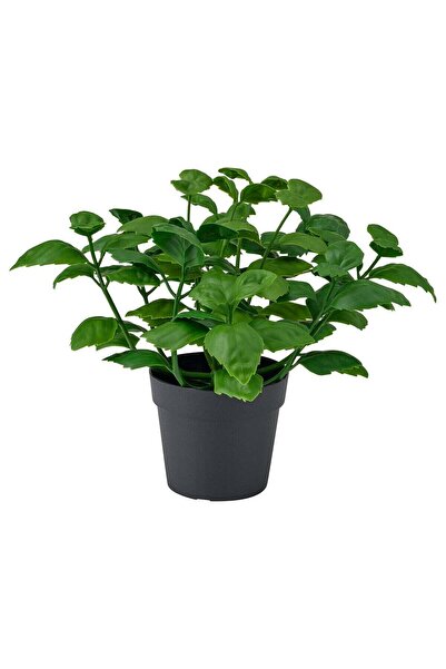 IKEA Artificial Potted Basil Herb Plant, In/Outdoor, Green, 9 cm Pot