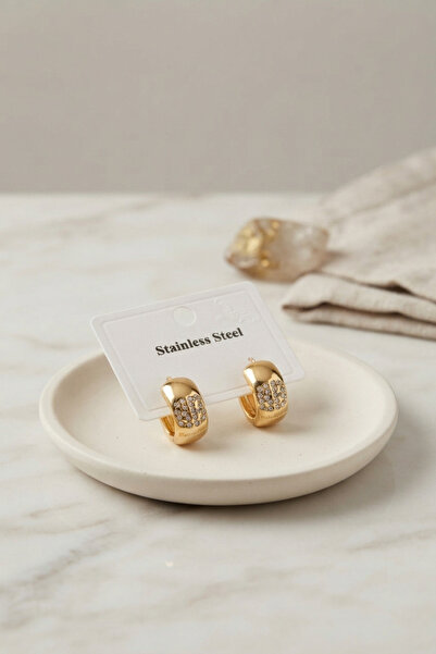 Lisinya 316L Steel Gold Color Thick Hoop Design Model Earrings -
