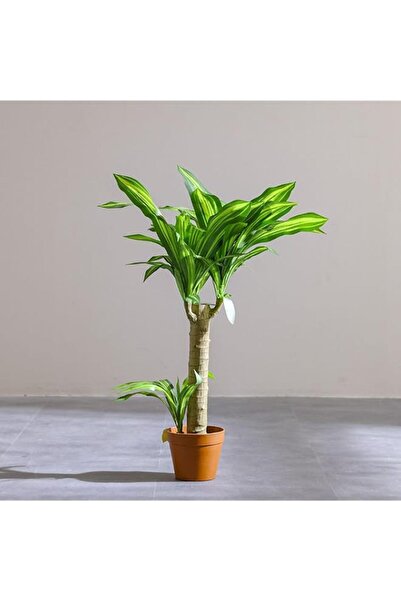 Generic Brand Brazilian Iron Plant with 55 Leaves (107 cm) – Towering Faux or...