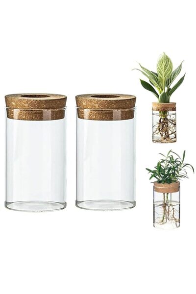 Generic SYOSI Glass Plant Propagation Bottles Set, Hydroponic Vases for Succu...