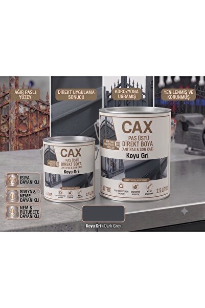 caxcolors CAX Pas Üstü Direkt Metal Boyası Antipas Dahil Koruyucu Parlak Dış ...